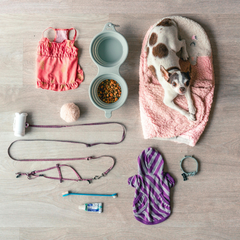 Collection image for: Pet Accessories