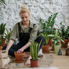 Collection image for: Gardening