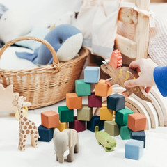 Collection image for: Toys