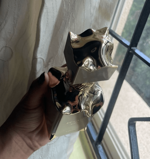 2024 New Arabian Perfume - Eclaire EDP Spray 100ML - Long Lasting Charming Perfume for Women